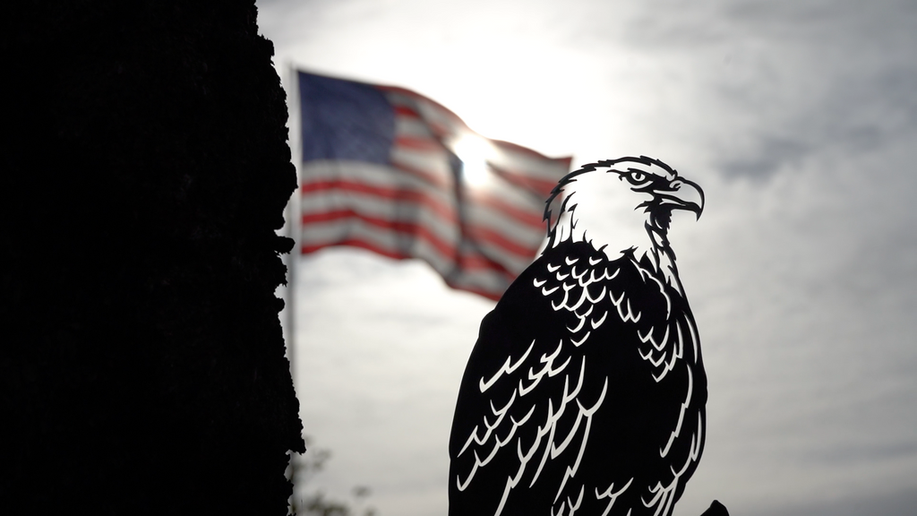 Metal Bald Eagle