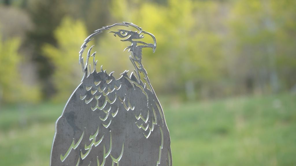 Metal Bald Eagle