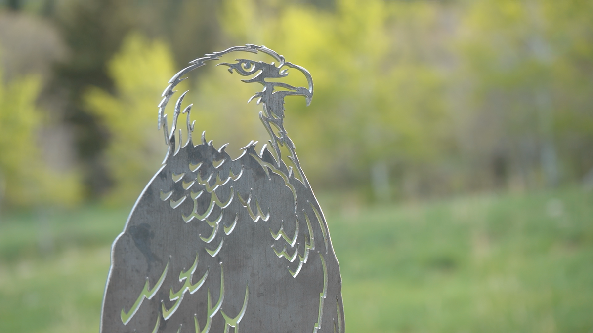 Metal Bald Eagle