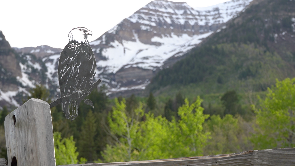 Metal Bald Eagle